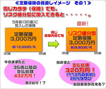 定期保険見直しイメージ その1