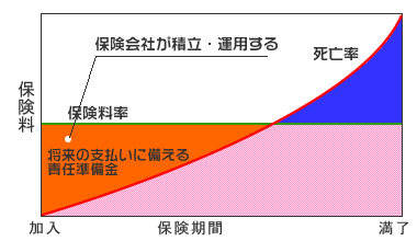 解約金が発生する仕組み