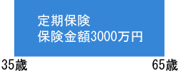 ����ی��E�ی����z3000���~