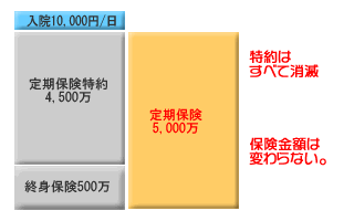 延長定期保険