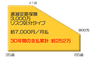 逓減定期保険