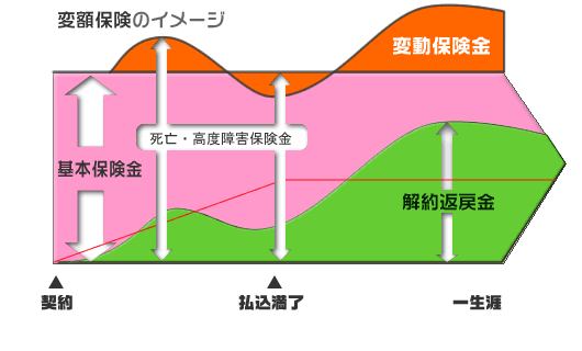 変額終身保険のイメージ